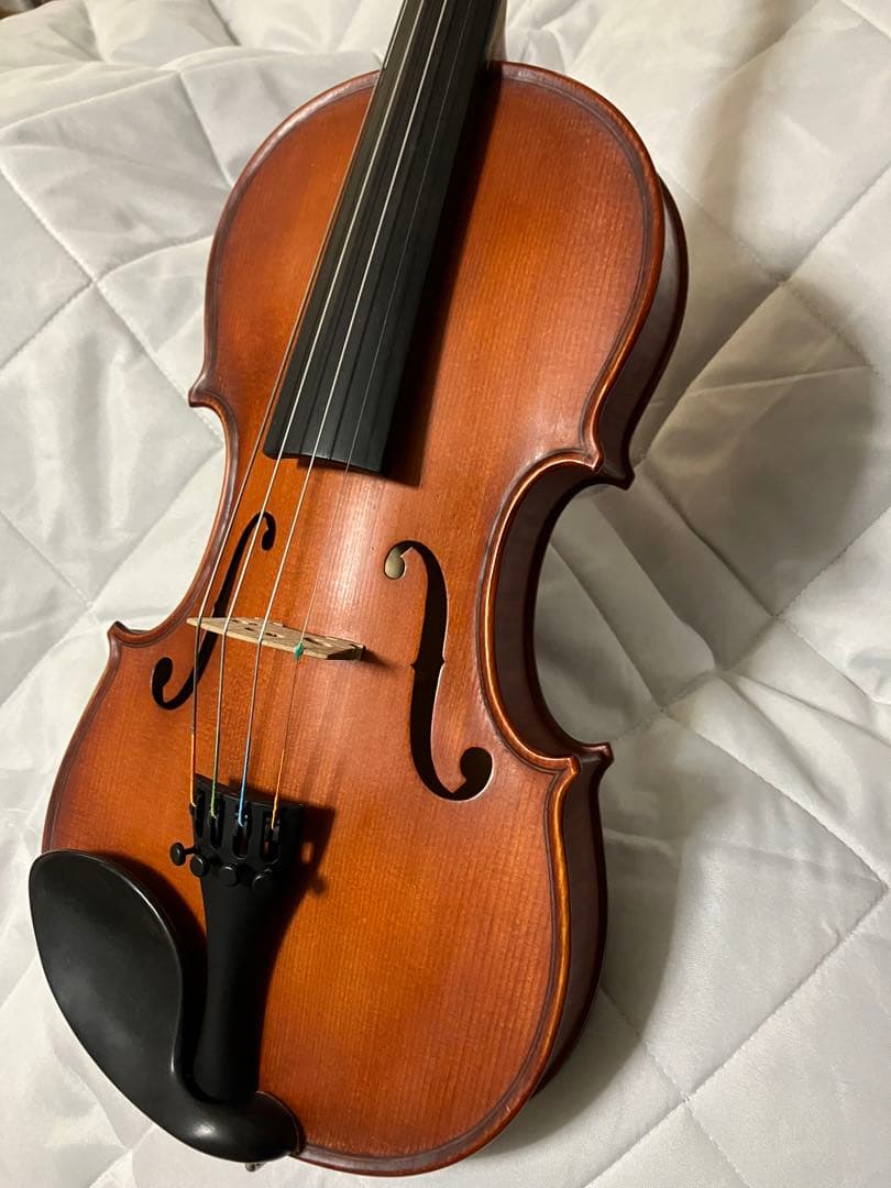 GLIGA 2000年GLIGA gama Ⅱ 4/4 三角型ケース バイオリン