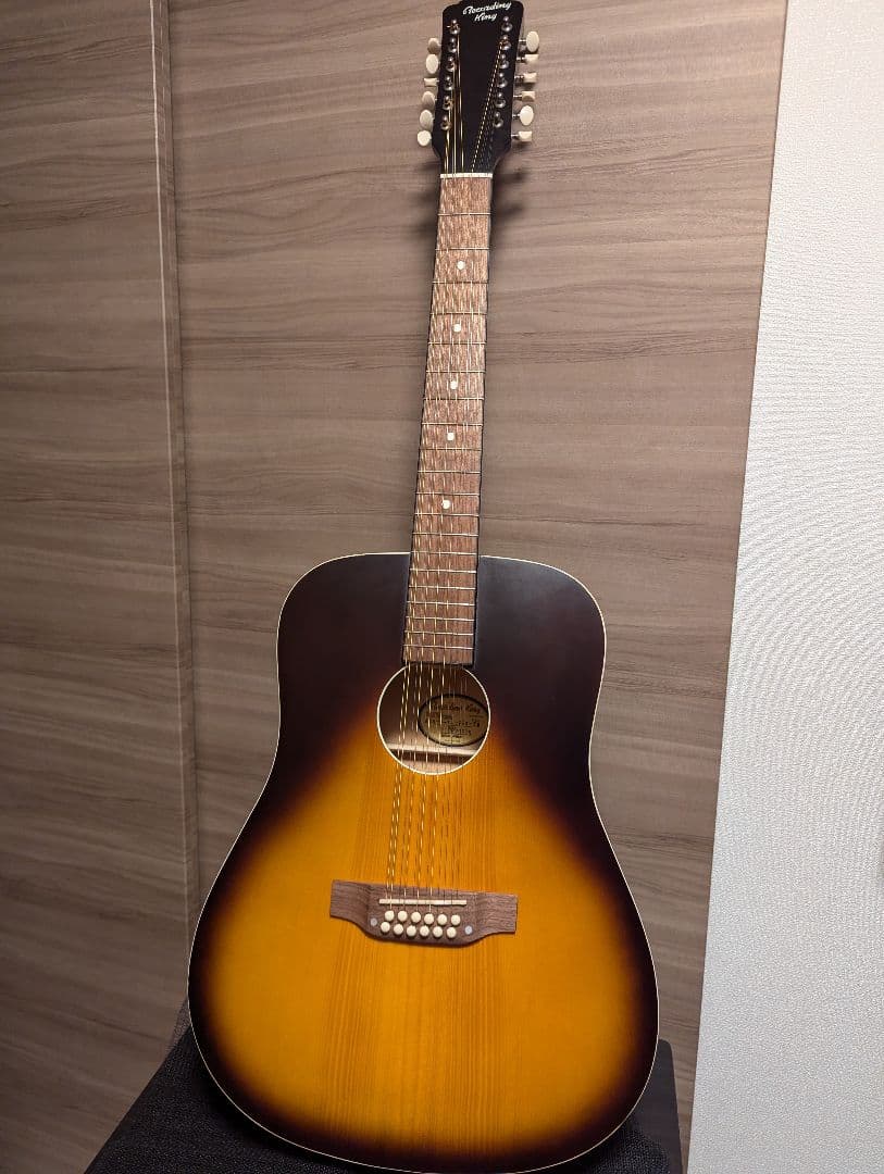 エレアコ Recording King RDS-9-12-FE5-TS 12弦