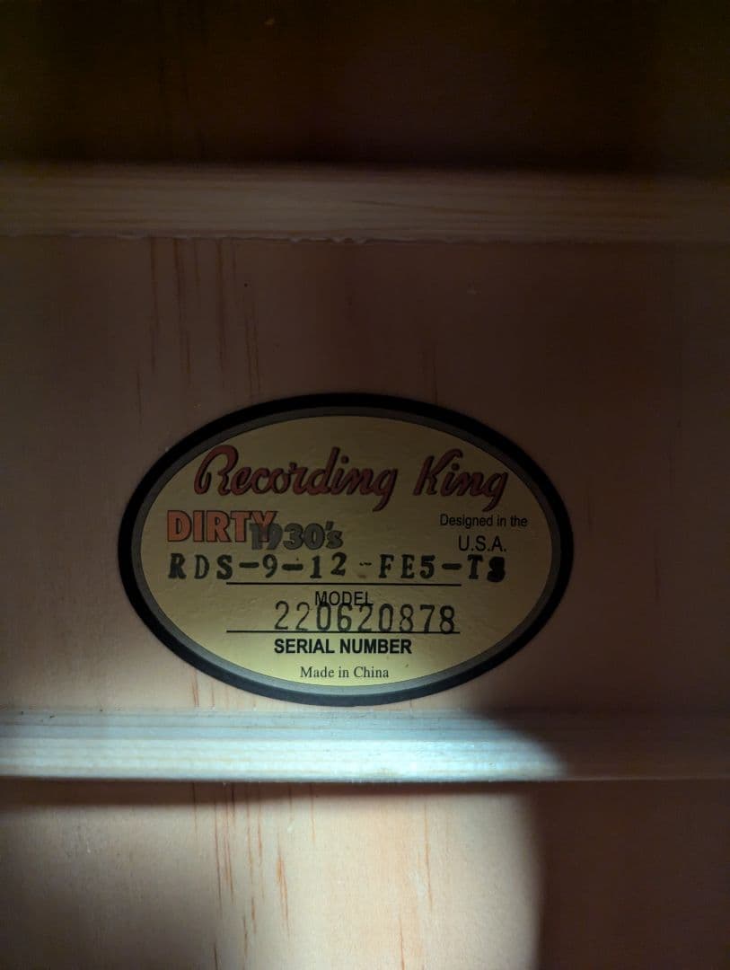 エレアコ Recording King RDS-9-12-FE5-TS 12弦