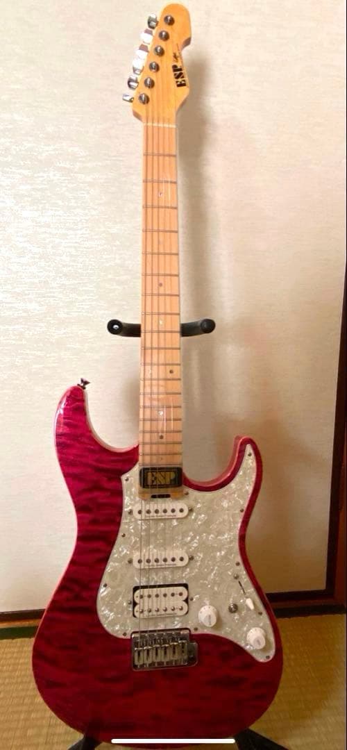 ギター ESP SNAPPER