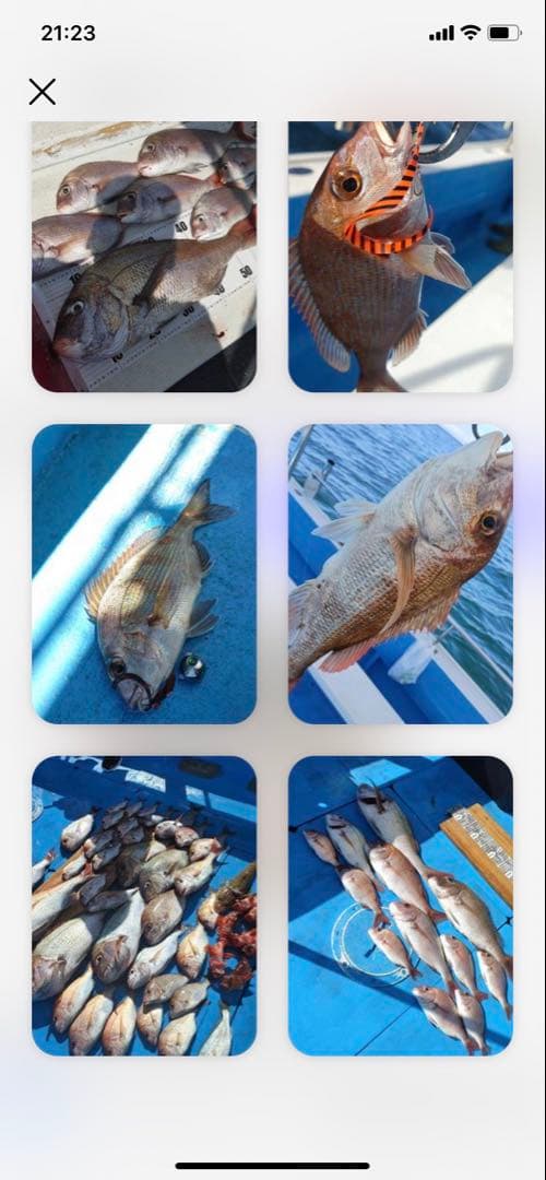 丸型310g2個　タイラバ　鯛ラバヘッド　タングステン　送料無料