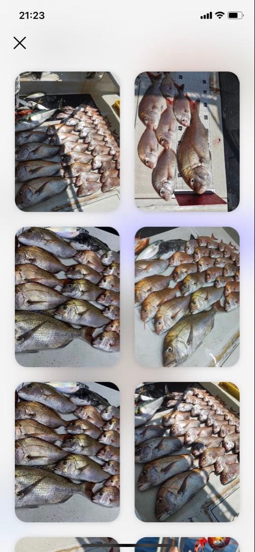 丸型310g2個　タイラバ　鯛ラバヘッド　タングステン　送料無料