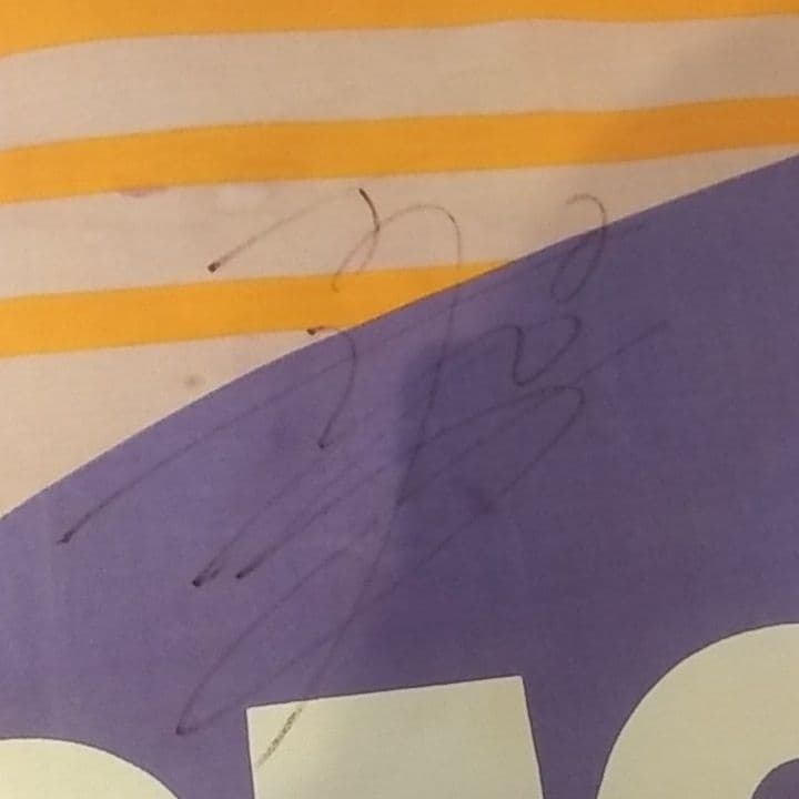 レア　初期サンフレッチェ広島直筆サイン入りフラッグ