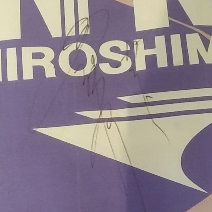 レア　初期サンフレッチェ広島直筆サイン入りフラッグ