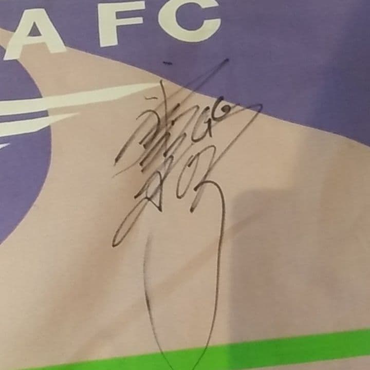 レア　初期サンフレッチェ広島直筆サイン入りフラッグ