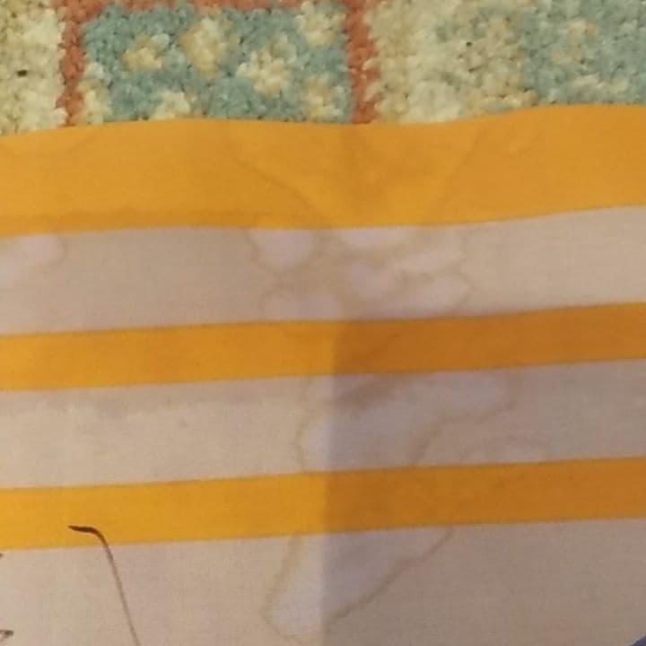 レア　初期サンフレッチェ広島直筆サイン入りフラッグ