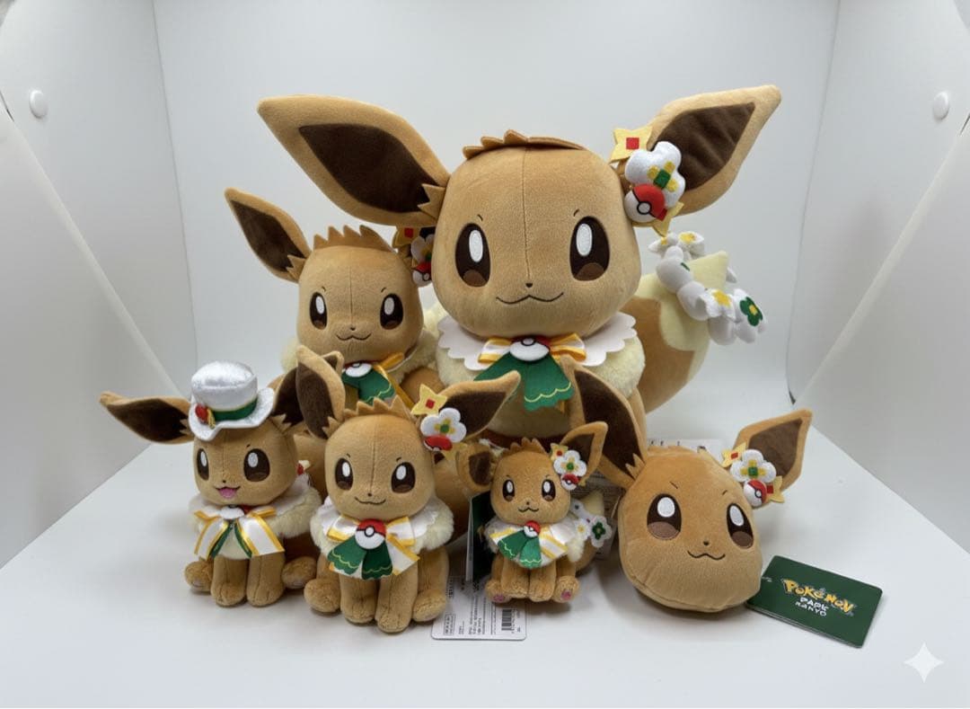 ポケパークカントー限定イーブイぬいぐるみ5体＋パスケースセット（全6点）