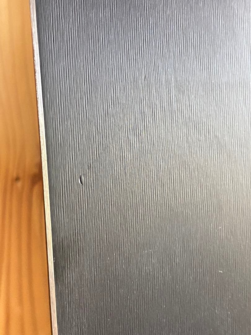 黒*ト様 Salomon RACE GS競技用　159cm