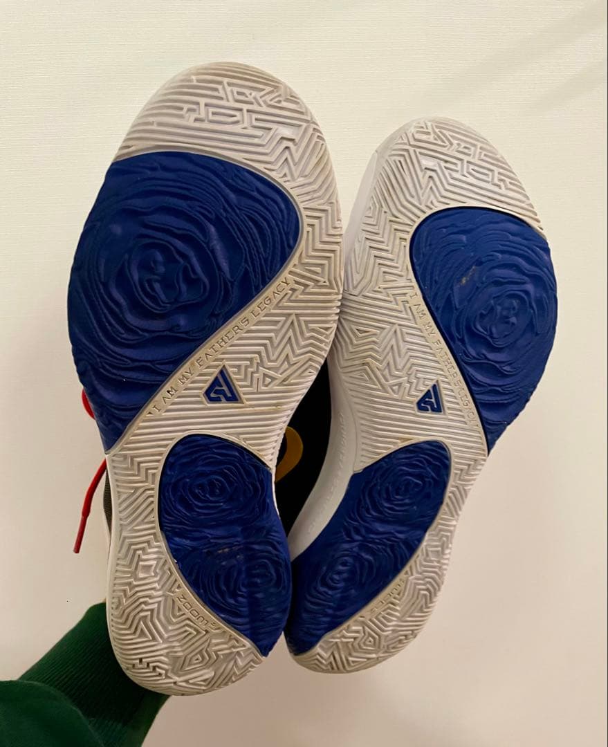 NIKE、ズームフリーク1、27センチ