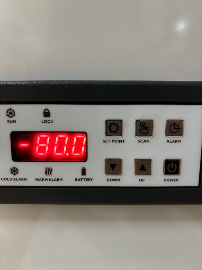 清潔コオロギ2.2kg 冷凍コオロギ　ＭＬサイズ　クロコオロギ　約2kg