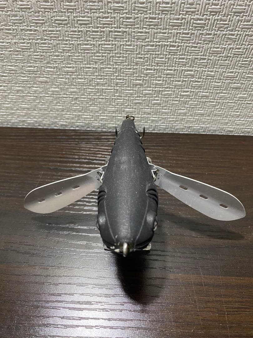 タエニア　TAENIA