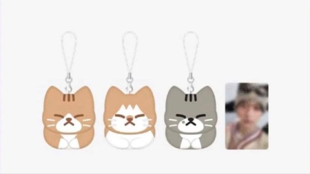 即日発送　Stray kids リノ スンドゥンドリ　未開封　メンプロ