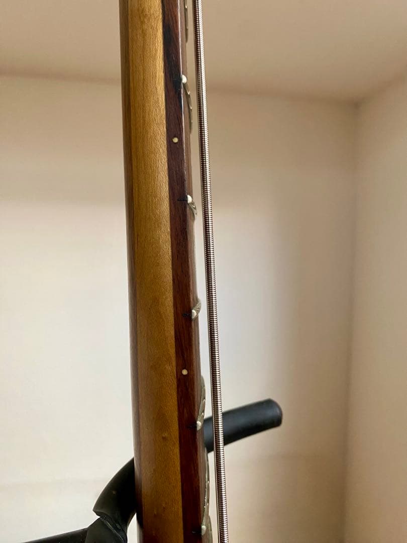 Epiphone T-Bird PRO Thunder Bird 4弦