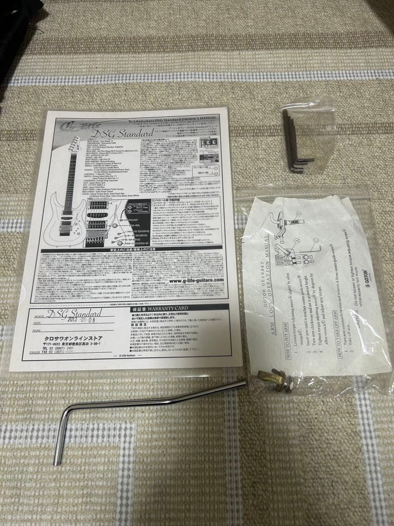 ギター DSG Standard Ash /  White