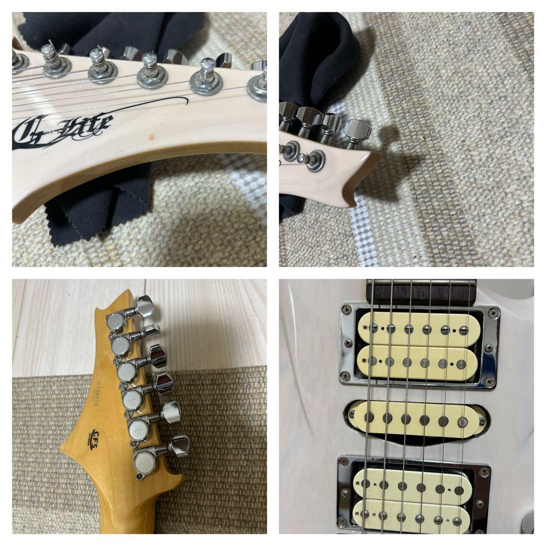 ギター DSG Standard Ash /  White