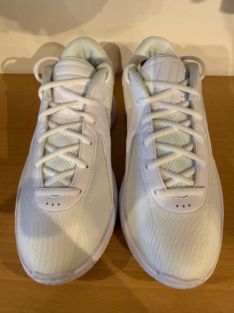 Nike バスケットボールシューズ ホワイト