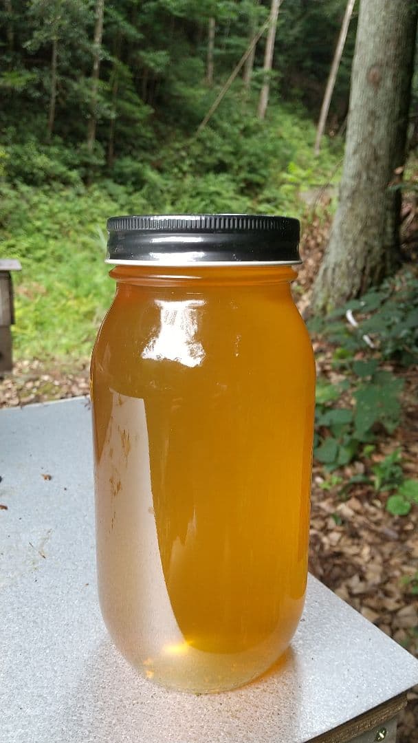 【養蜂家直送】 はちみつ 2kg 国産 天然 純粋 生蜂蜜 7月新蜜 夏の百花蜜