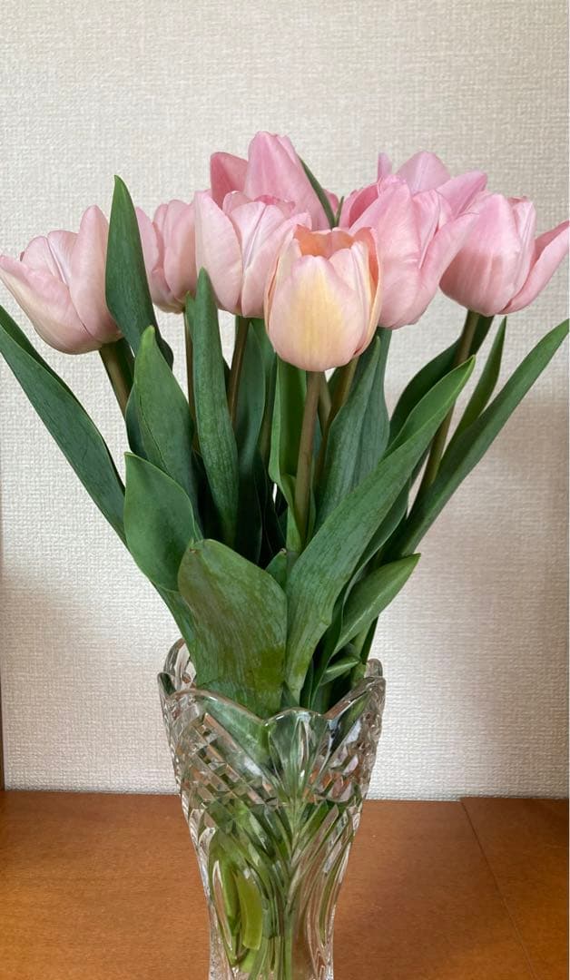 ろとどんさま専用