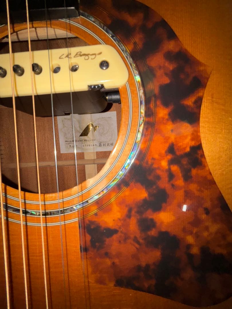 Morris M-82 + LR Baggs M1 搭載 純正ソフトケース付き