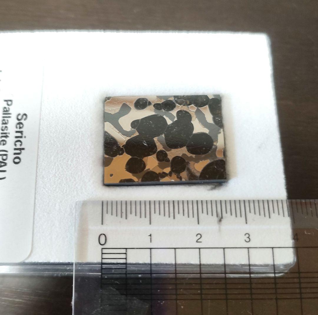 セリコ隕石 パラサイト隕石 スライス 標本