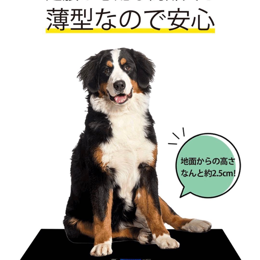 ペット用体重計 ペットくん78x50cm