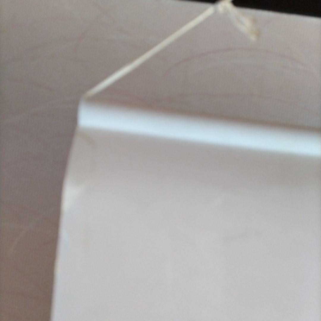 【非売品】スター・ウォーズビデオ広告用ポスター