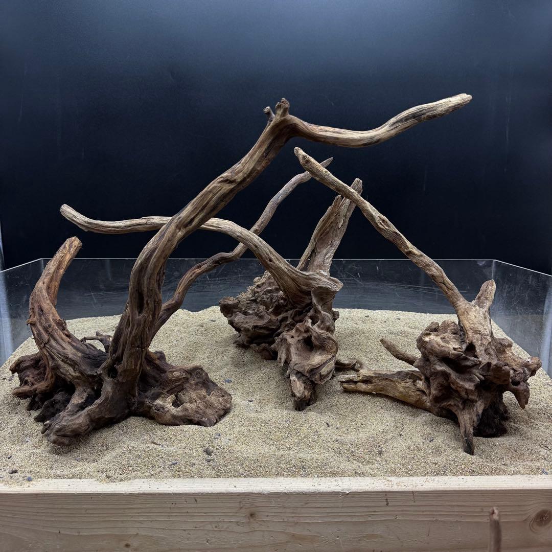 MSRW-7173 天然流木12本セット　スリムウッド　アクアリウム