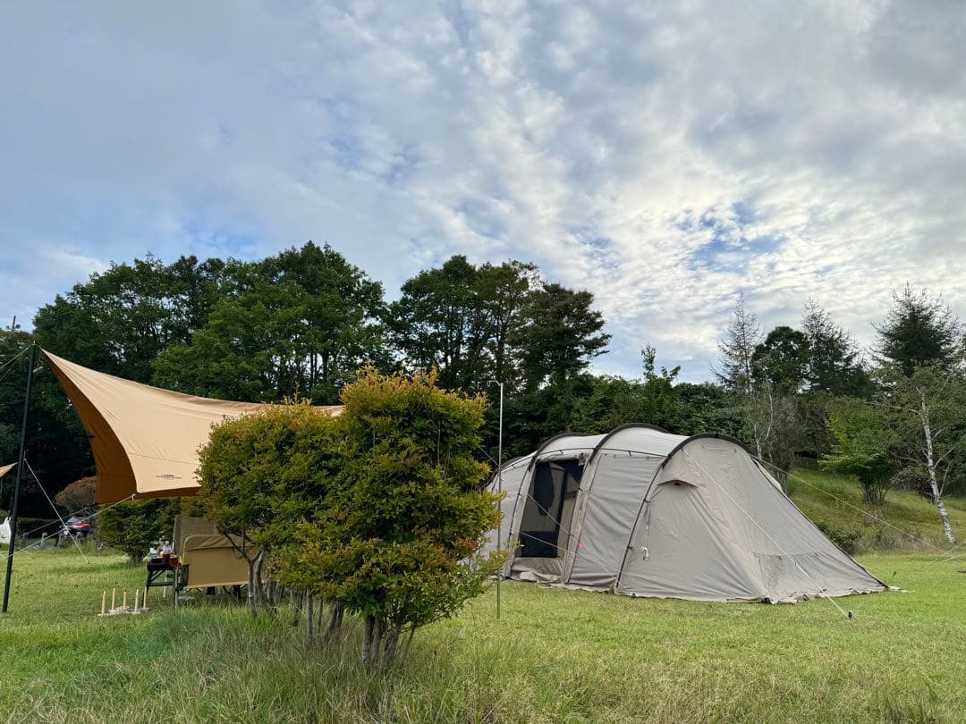 サバティカル　アルニカ　おまけ付き