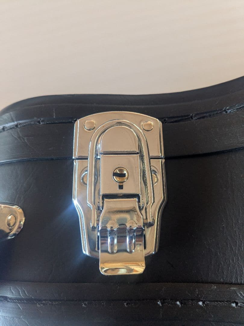 Epiphone ギターケースGREENDAYモデル　レスポールジュニア用