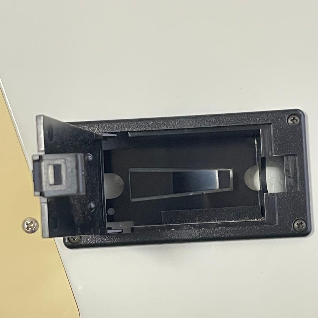 Burny エレキギター アートワーク付