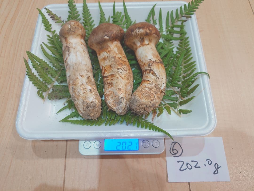 岩手県岩泉産　松茸（天然物）202g⑥
