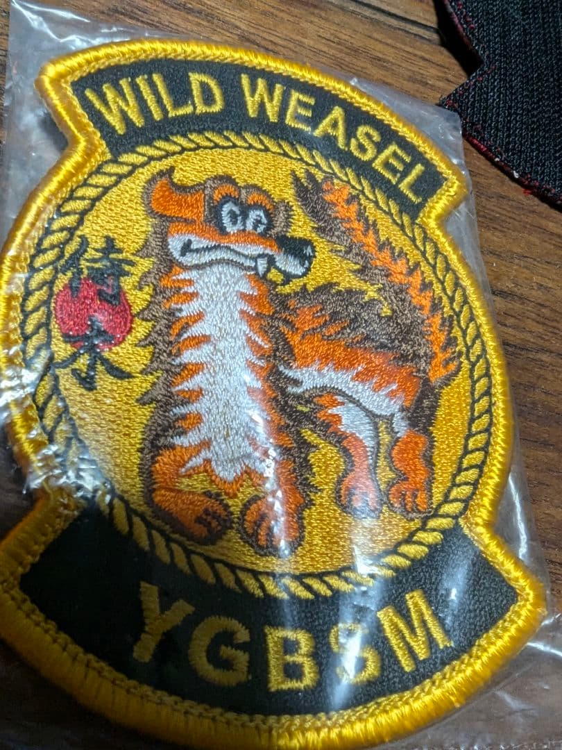 米空軍 F-16 デモチーム WILD WEASEL