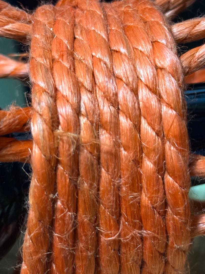 合成皮革製の小鼓　ハードケース　並麻の調べ　幸流譜面付【価格大幅下げ】