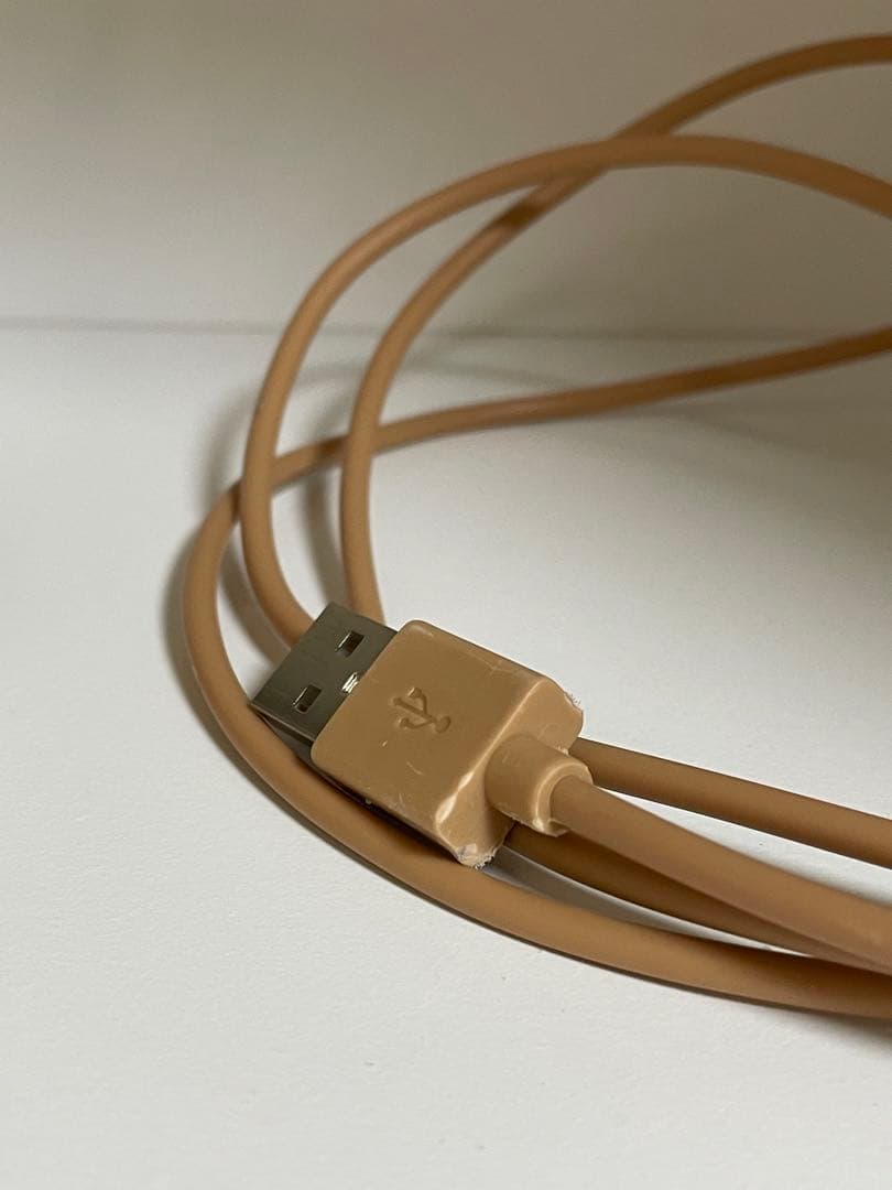 マダツボミ　ライト