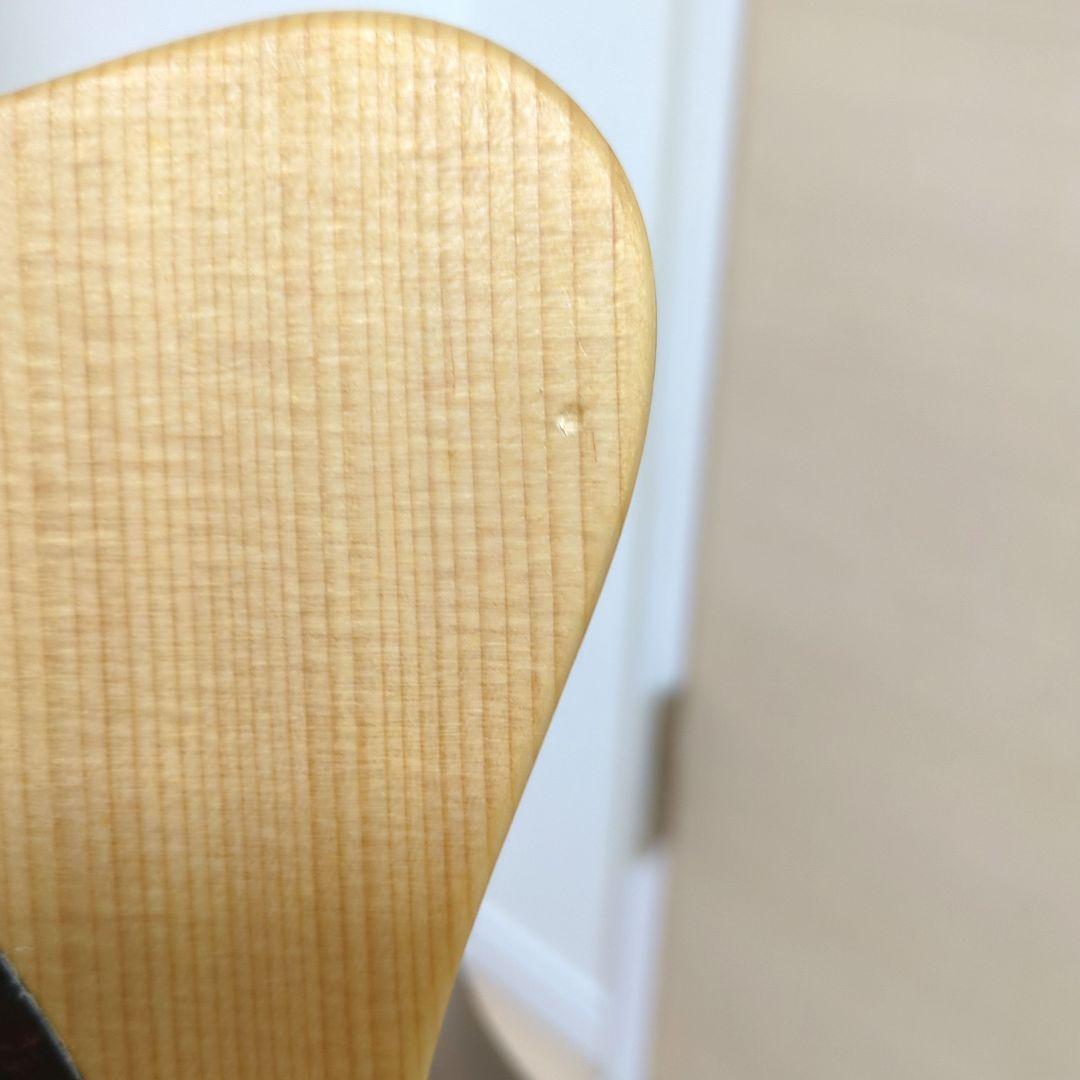 Martin & Co. GPCX1RAE アコースティックギター