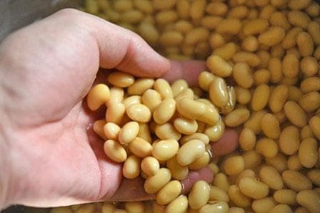 期間限定値下げ中◆超美肌ミヤギシロメ大豆 令和7年産 10kg★有機栽培ダイズ★