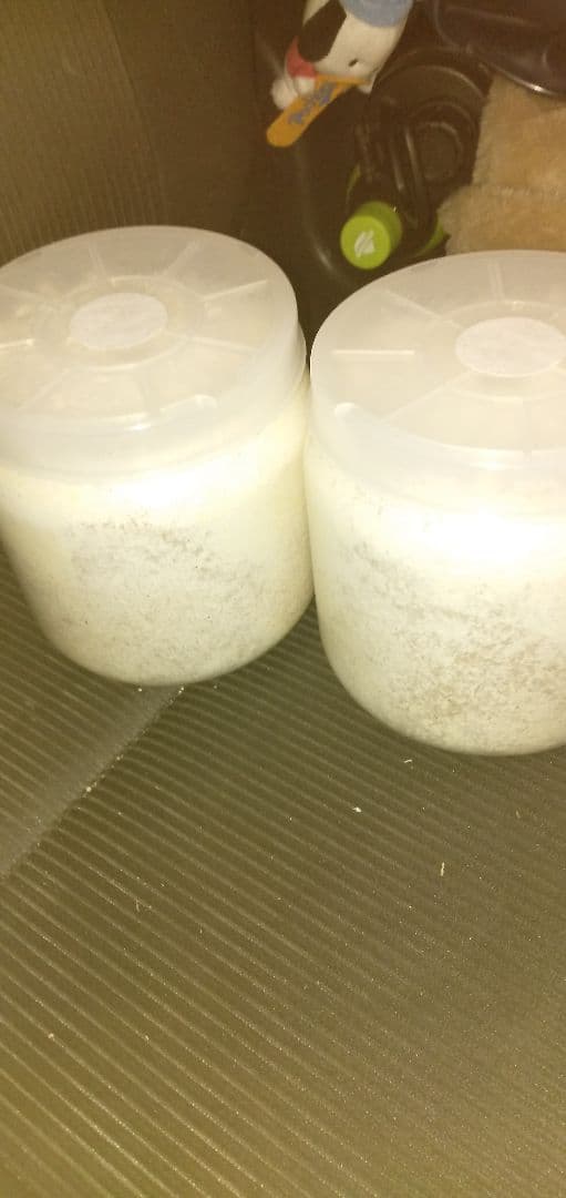 カワラ菌糸瓶 1400 10本セット