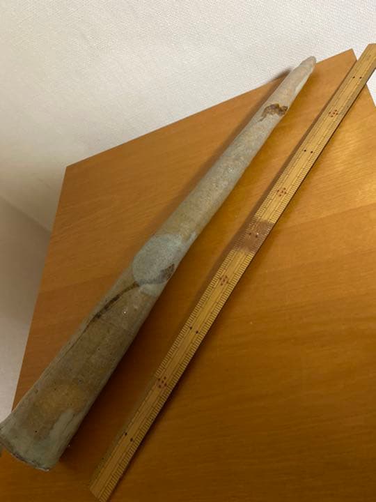 濱中史郎　作品