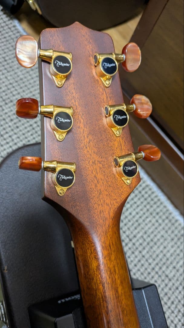 Takamine NPT-012BS【希少・名機】純正ハードケース付