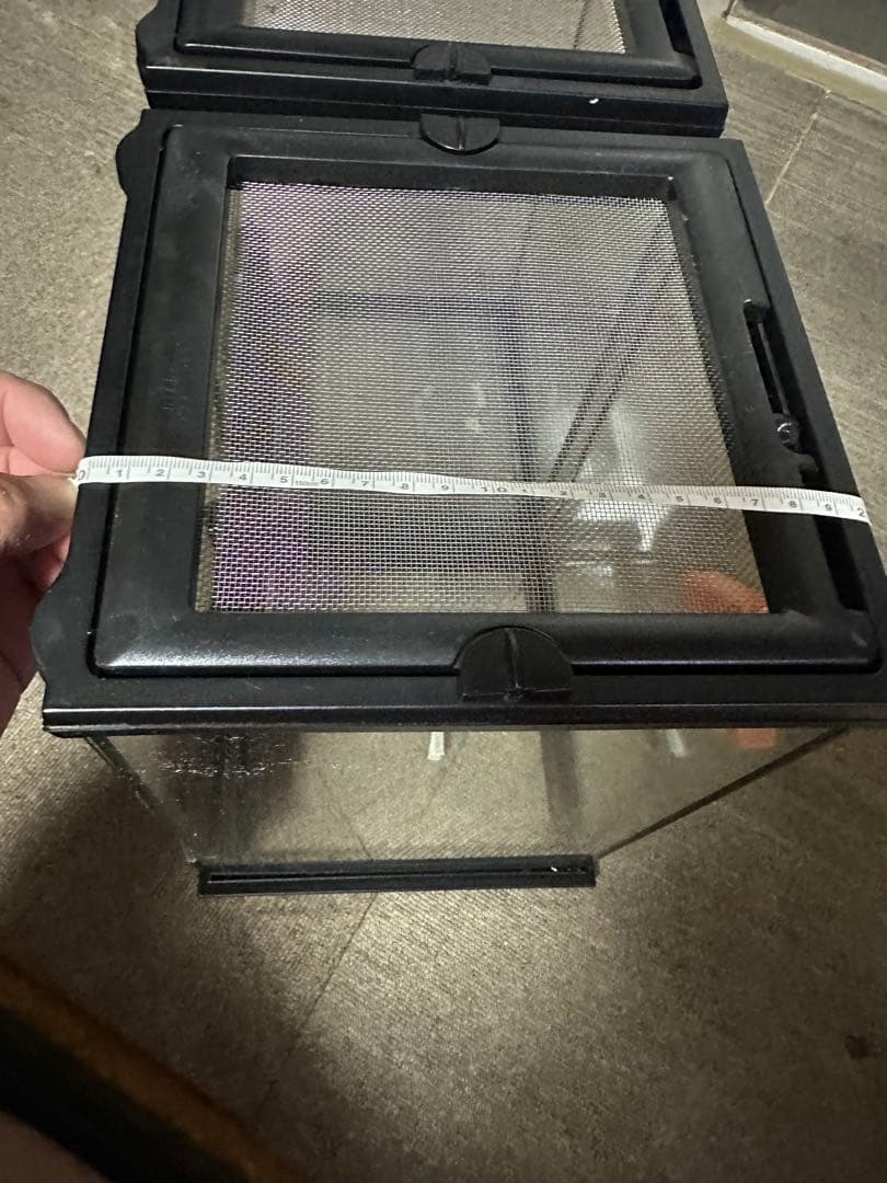 エキゾテラ　グラステラリウム2個セット　値下不可