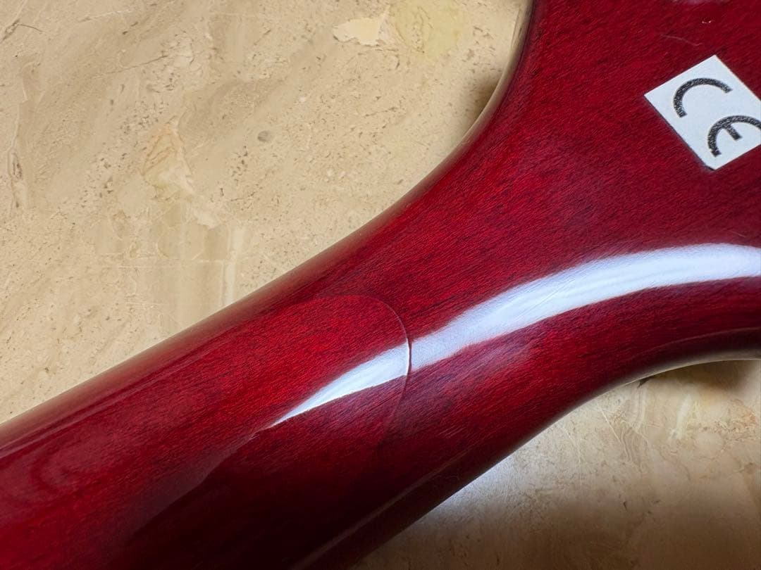 Epiphone Les Paul Studio 改造品