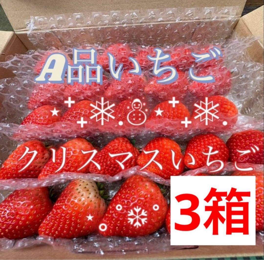 【A品】栃木県産とちあいか　【ミツララいちご】 農家直送 3箱マロン