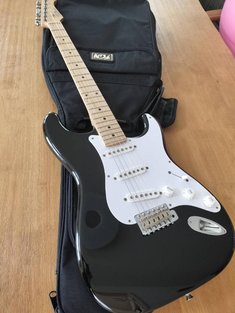 FGN フジゲン J-Standard ST-STD5M 純正ギグバッグ付