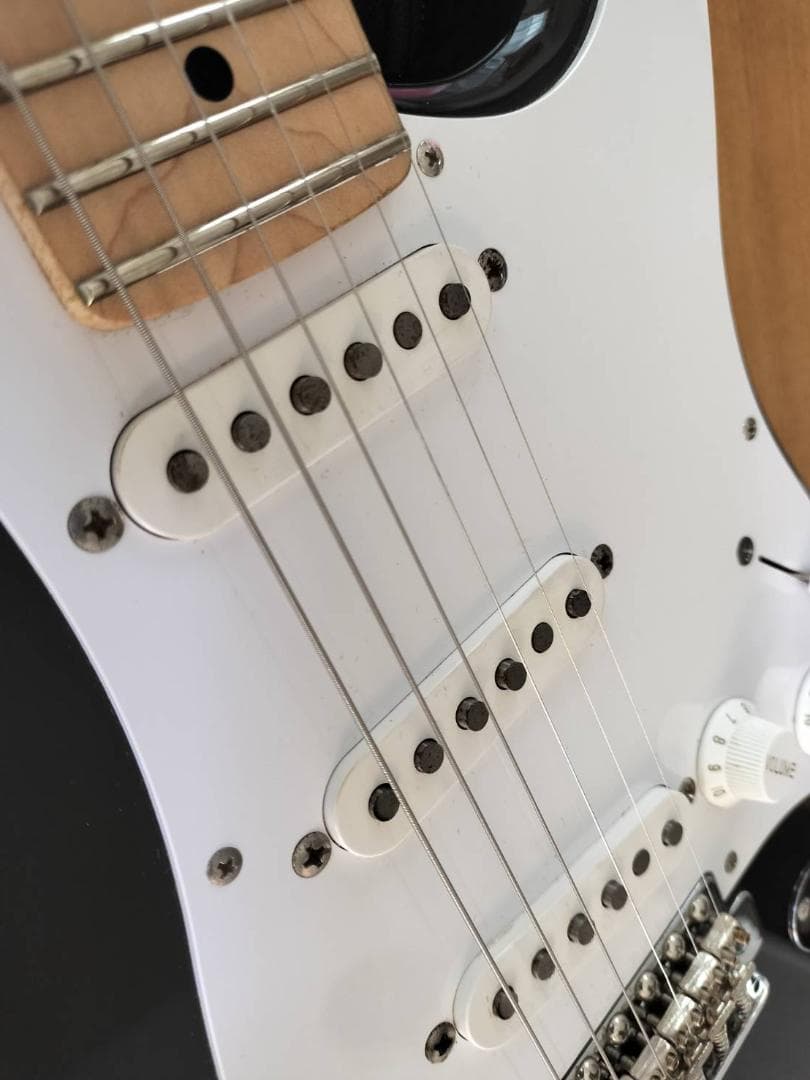 FGN フジゲン J-Standard ST-STD5M 純正ギグバッグ付