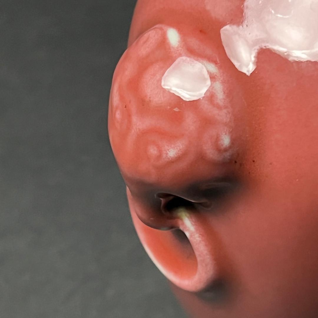 辰砂 双獣耳瓶 大清康煕年製 款 中国美術 古玩 SN25