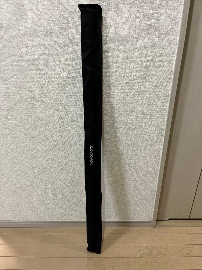 ダイワDAIWA チニングロッドSALTISTソルティストAGS CN79LML