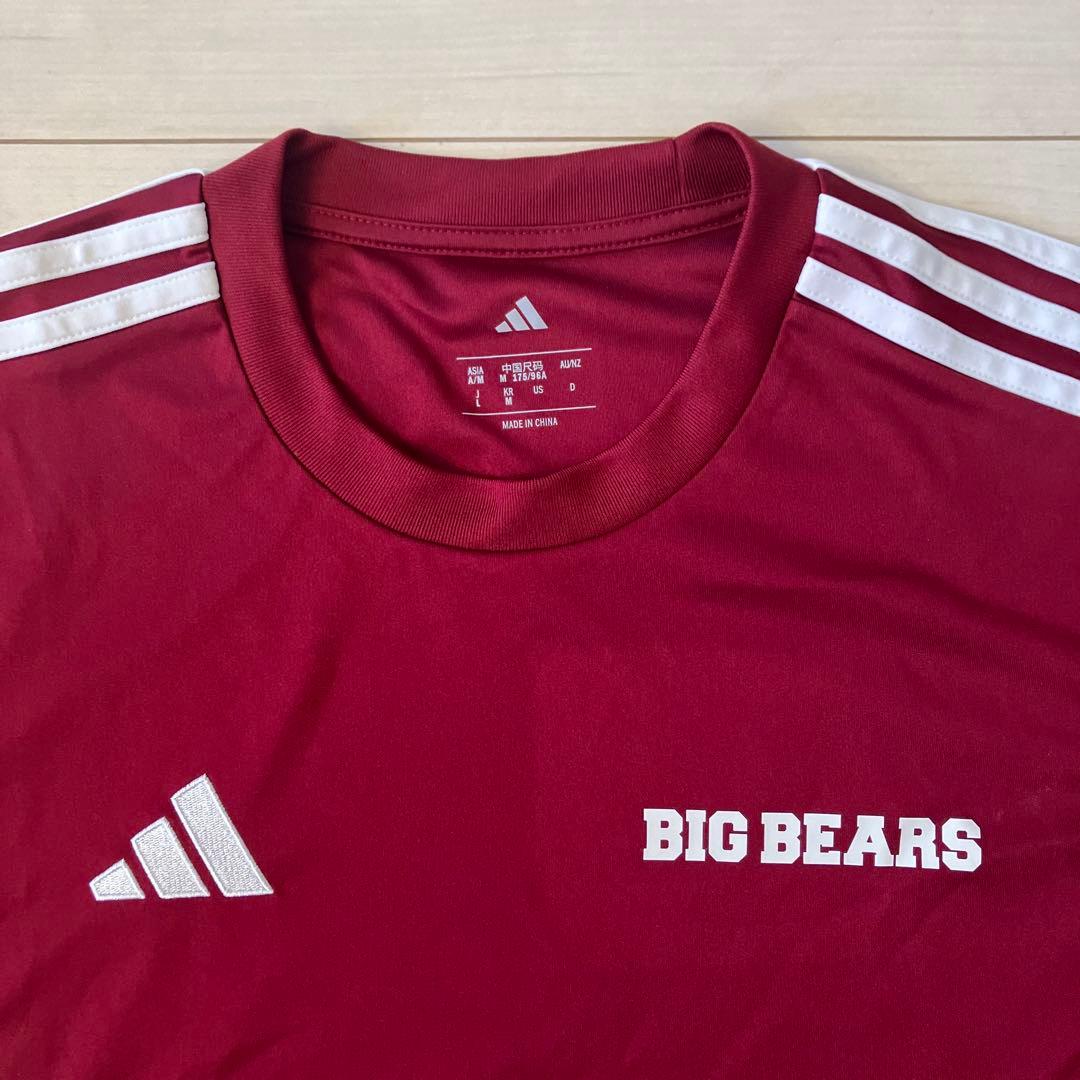 2枚　ピステ＋Tシャツ　早稲田大学アメフトBIG BEARS