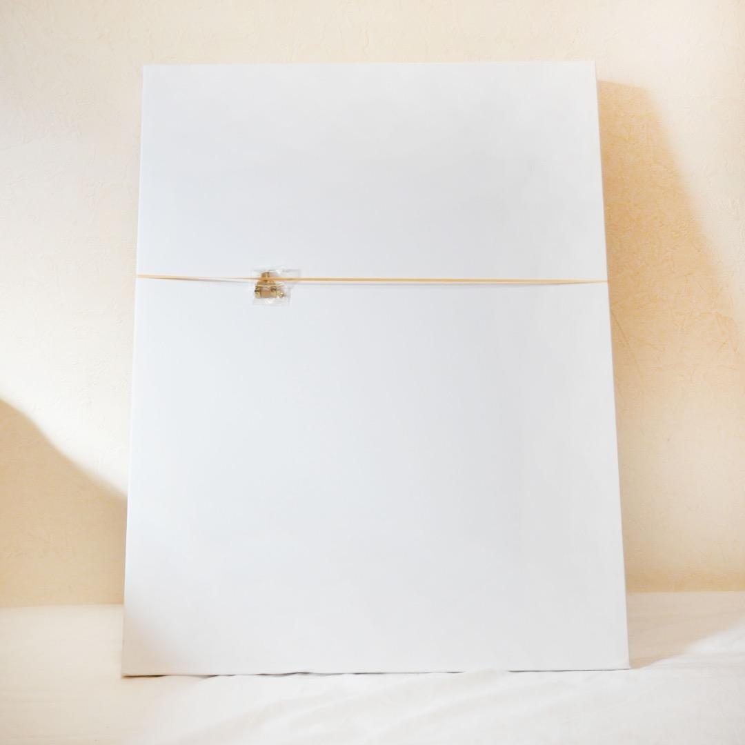 新品未使用　ドロヘドロ・複製原画・限定100枚・直筆サイン入り