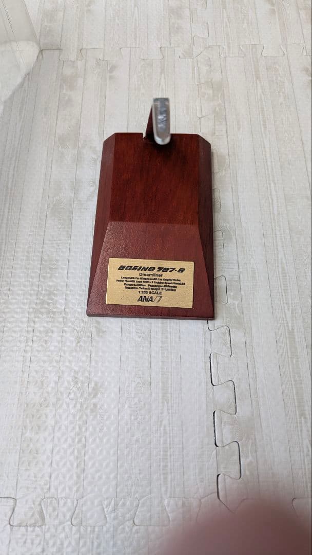 ANA Boeing 787-8特別塗装1/200 JA801A NH20053
