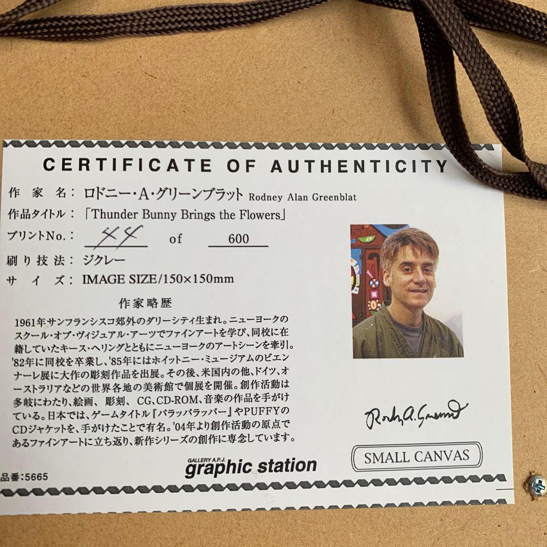 美品　サンダーバニー　絵画